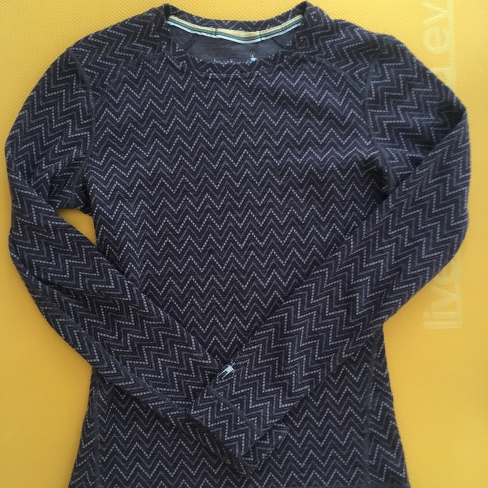 Smartwool Merino 250 Crew Baselayer